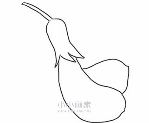 两只茄子简笔画画法图片步骤步骤5