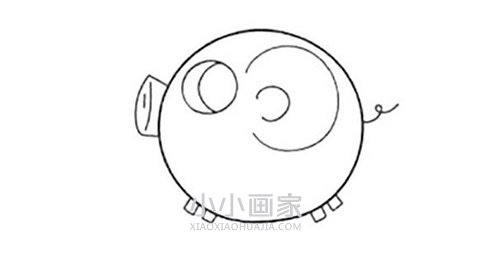 小猪气球简笔画画法图片步骤步骤6