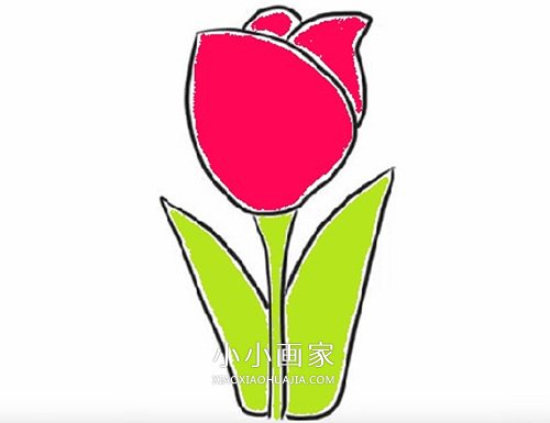 彩色郁金香简笔画画法图片步骤