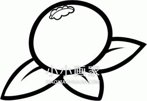 彩色蓝莓简笔画画法图片步骤步骤5