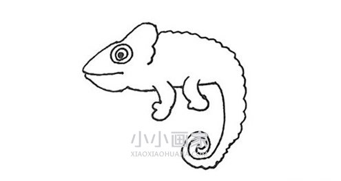 树枝上的变色龙简笔画画法图片步骤步骤4