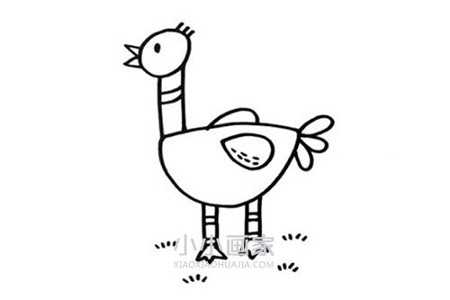 可爱鸵鸟简笔画画法图片步骤步骤4