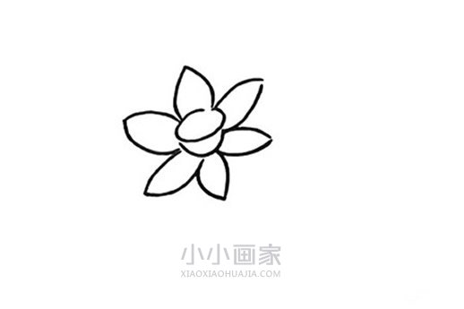 卡通水仙花简笔画画法图片步骤步骤3