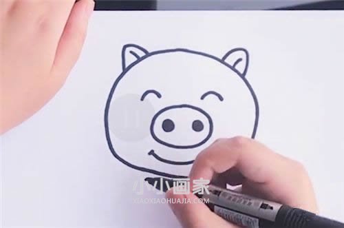 可爱小粉猪简笔画画法图片步骤步骤3