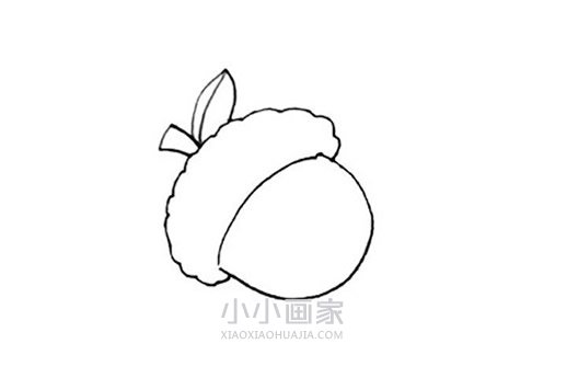 彩色橡果简笔画画法图片步骤步骤4
