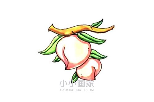 绘本故事树上的桃子简笔画画法图片步骤