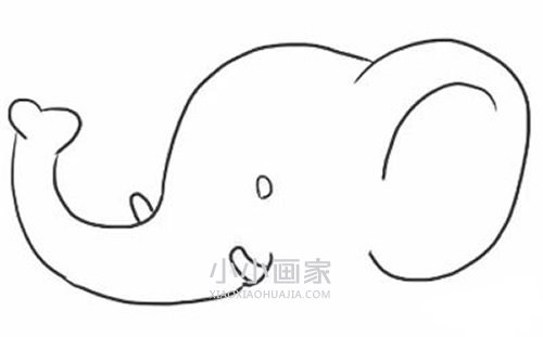 奔跑的卡通大象简笔画画法图片步骤步骤4