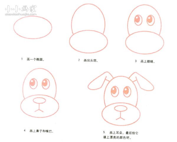 绘本故事乖乖的小狗狗简笔画画法图片步骤