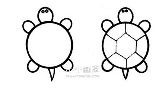绘本故事弱小小乌龟简笔画画法图片步骤