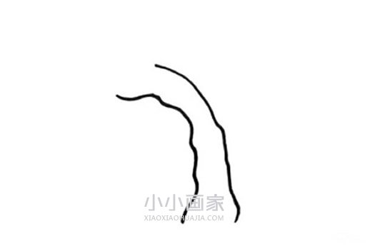 春天柳树简笔画画法图片步骤步骤2