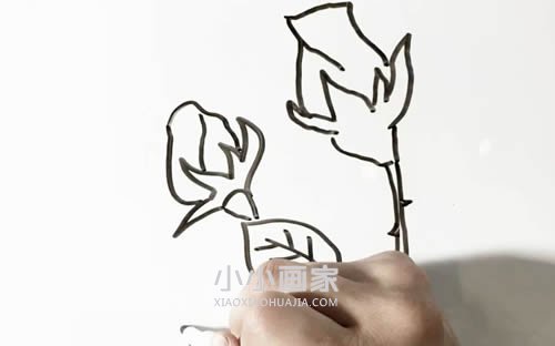 简单玫瑰花简笔画画法图片步骤步骤6