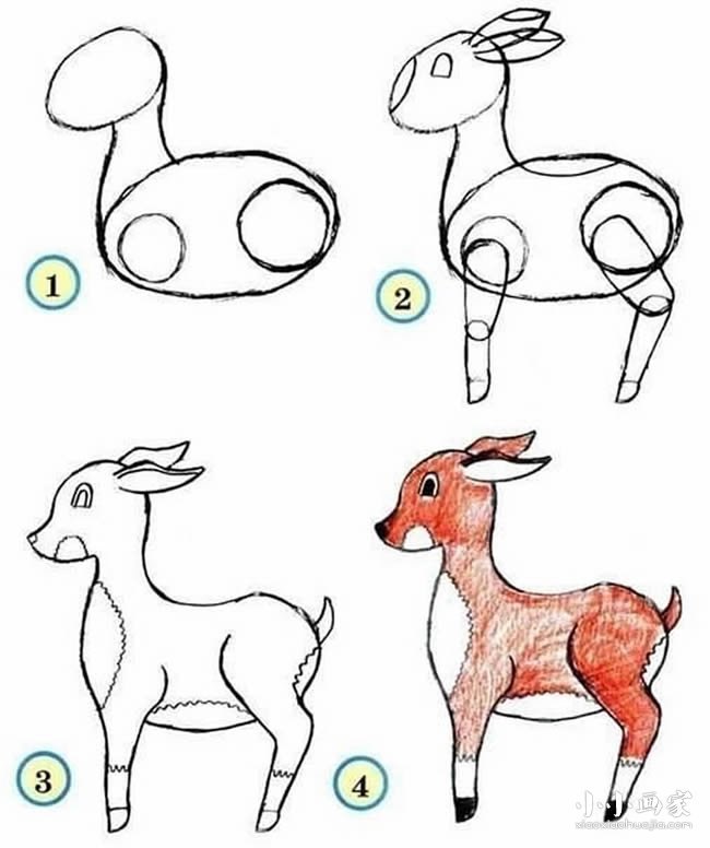 绘本故事彩色的小鹿铅笔简笔画画法图片步骤