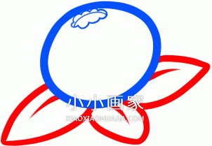 彩色蓝莓简笔画画法图片步骤步骤4