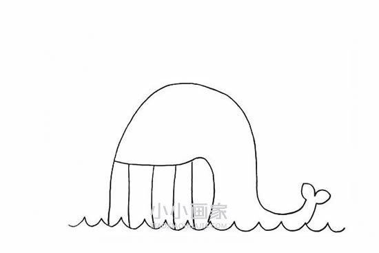 笑嘻嘻的鲸鱼简笔画画法图片步骤步骤5
