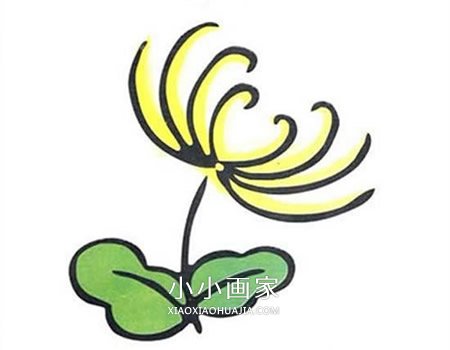 重阳节菊花简笔画画法图片步骤步骤5