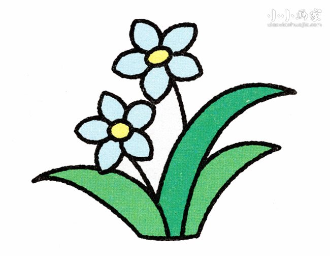彩色水仙花简笔画画法图片步骤步骤1