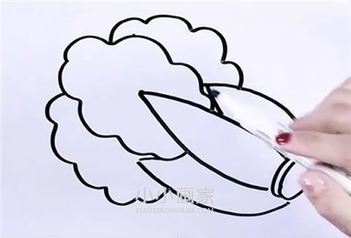 简单大白菜简笔画画法图片步骤步骤6