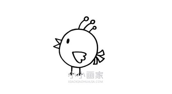 卡通小鸟简笔画画法图片步骤步骤4