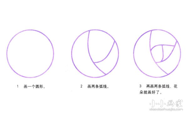 含苞待放玫瑰花简笔画画法图片步骤步骤2
