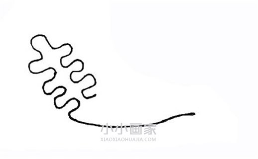 彩色珊瑚简笔画画法图片步骤步骤2