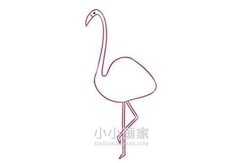 彩色火烈鸟简笔画画法图片步骤步骤4