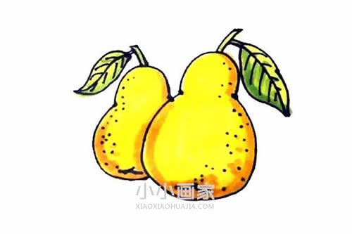 绘本故事彩色梨子简笔画画法图片步骤