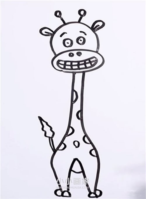 绘本故事搞笑长颈鹿简笔画画法图片步骤