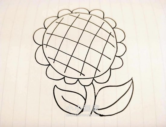 绘本故事向日葵简笔画画法图片步骤