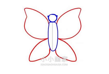 简单蝴蝶简笔画画法图片步骤步骤4