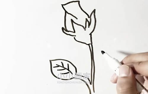 简单玫瑰花简笔画画法图片步骤步骤4