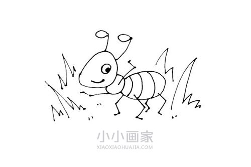 草丛中的蚂蚁简笔画画法图片步骤步骤6