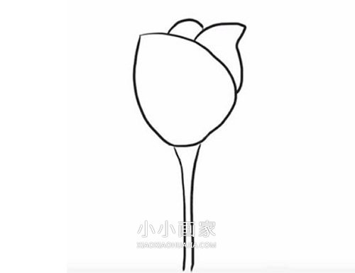 彩色郁金香简笔画画法图片步骤步骤4