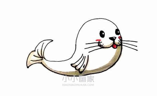 可爱海豹简笔画画法图片步骤步骤1
