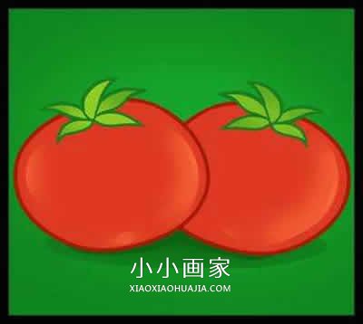 两个彩色西红柿简笔画画法图片步骤步骤1