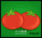 两个彩色西红柿简笔画画法图片步骤步骤1