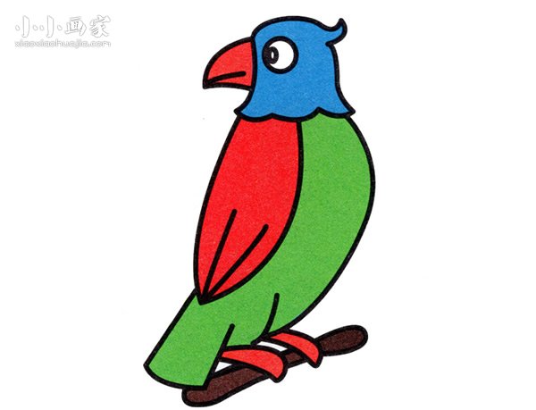 站在枝头的鹦鹉简笔画画法图片步骤步骤1
