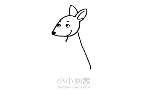 袋鼠妈妈和小袋鼠简笔画画法图片步骤步骤3