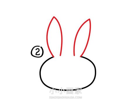 卡通小白兔简笔画画法图片步骤步骤3