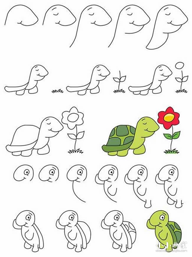 两种可爱卡通乌龟简笔画画法图片步骤