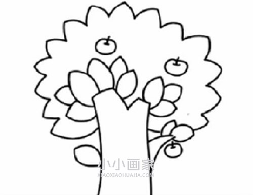 简单苹果树简笔画画法图片步骤步骤5