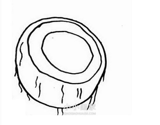 切开的椰子简笔画画法图片步骤步骤3