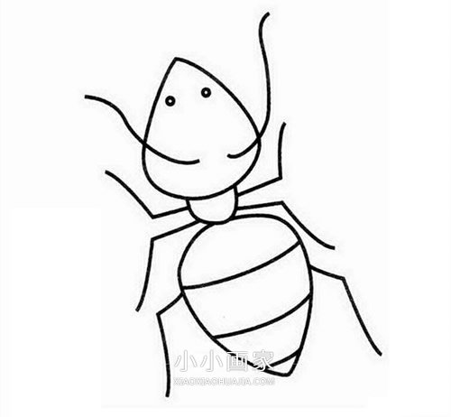 绘本故事简单小蚂蚁简笔画画法图片步骤