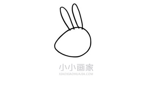 兔子瑞贝卡简笔画画法图片步骤步骤3