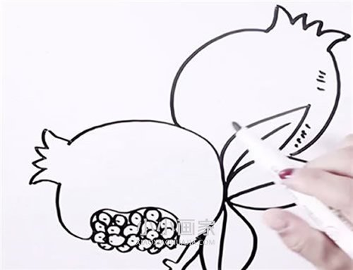 树上的石榴简笔画画法图片步骤步骤6