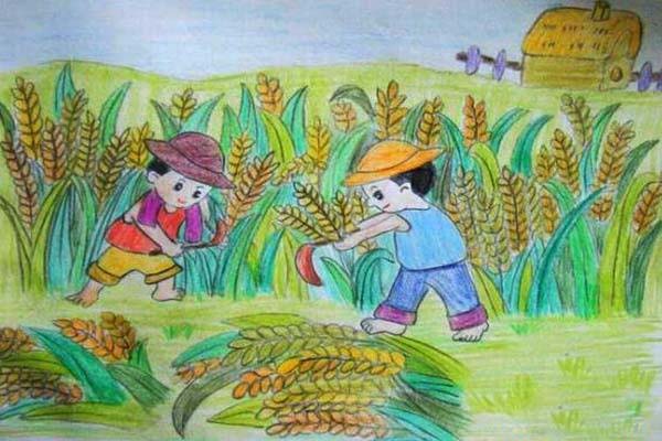 获奖小学生秋天丰收季节儿童画作品"收割小麦"步骤1