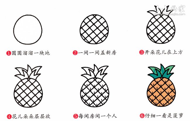 菠萝简笔画画法图片步骤