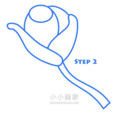 红色玫瑰花简笔画画法图片步骤步骤3