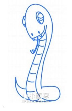 彩色的大蛇简笔画画法图片步骤步骤4