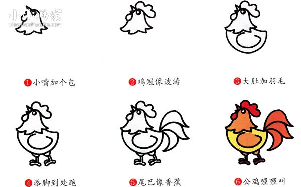绘本故事彩色打鸣的大公鸡简笔画画法图片步骤