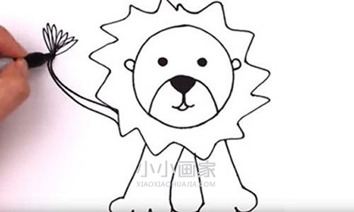 彩色小狮子简笔画画法图片步骤步骤6